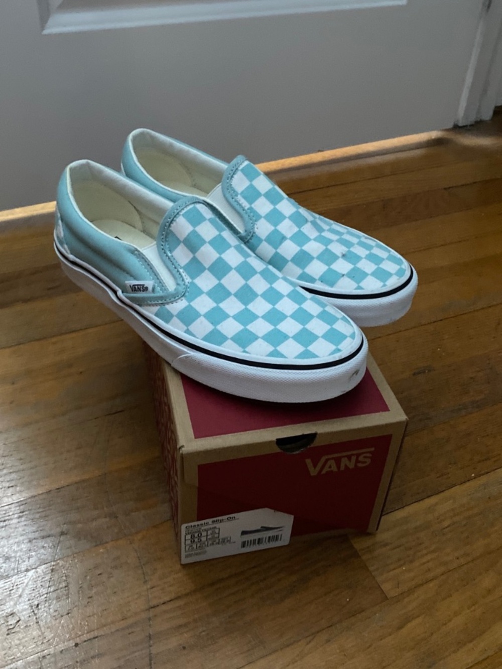 Vans slip on sneakers